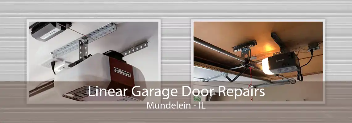 Linear Garage Door Repairs Mundelein - IL