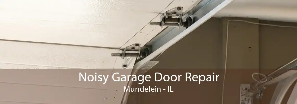 Noisy Garage Door Repair Mundelein - IL