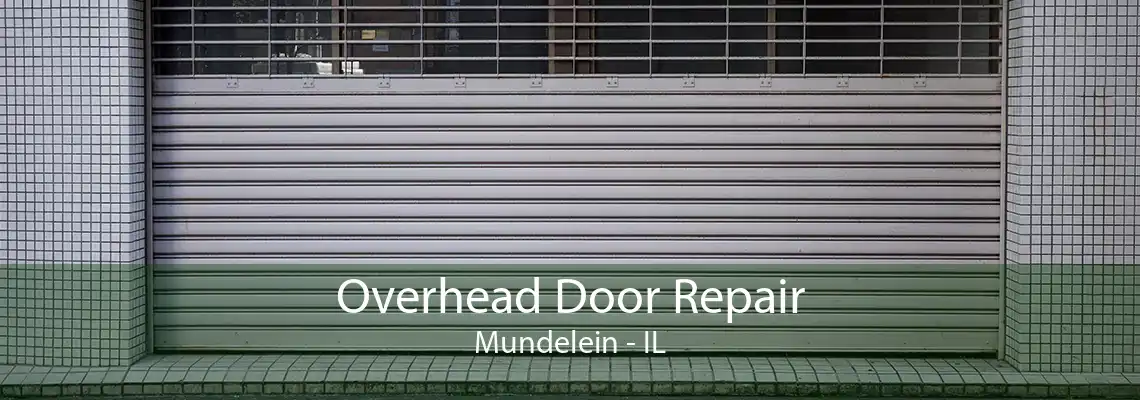 Overhead Door Repair Mundelein - IL