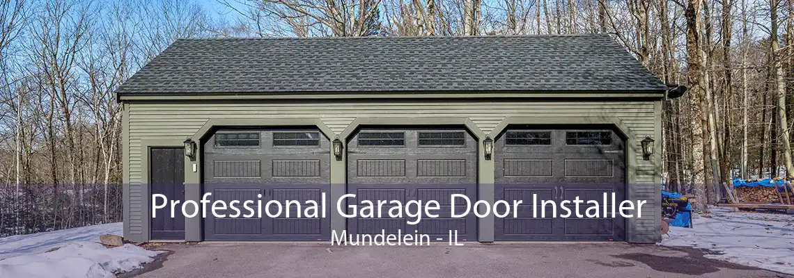 Professional Garage Door Installer Mundelein - IL