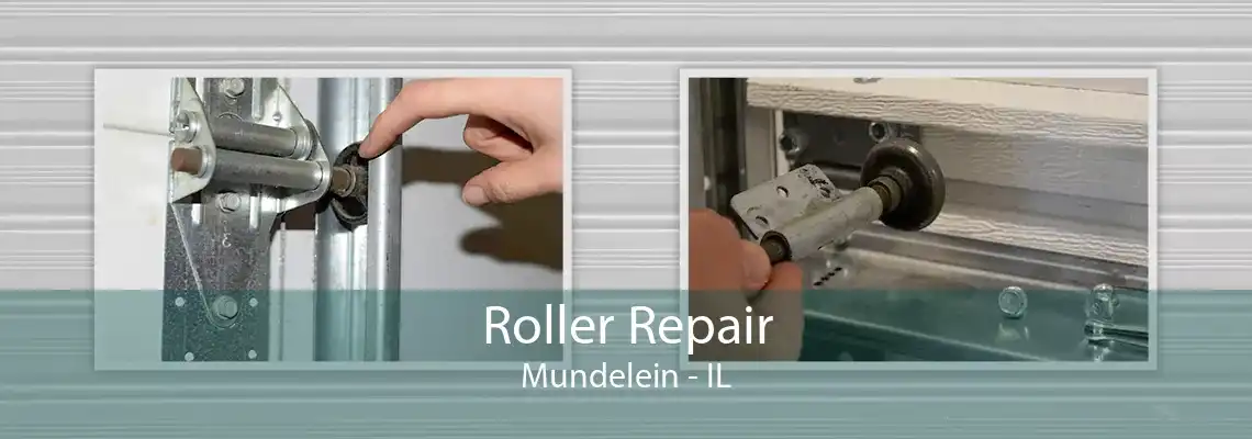 Roller Repair Mundelein - IL