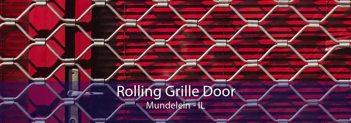 Rolling Grille Door Mundelein - IL