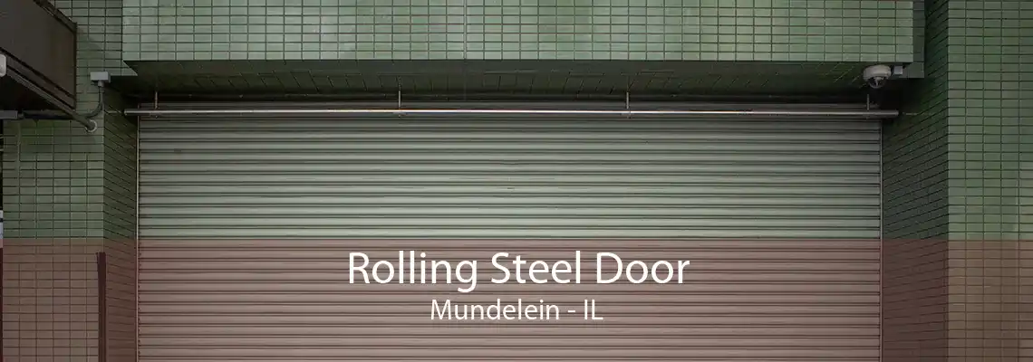 Rolling Steel Door Mundelein - IL