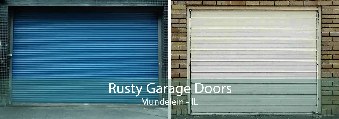 Rusty Garage Doors Mundelein - IL