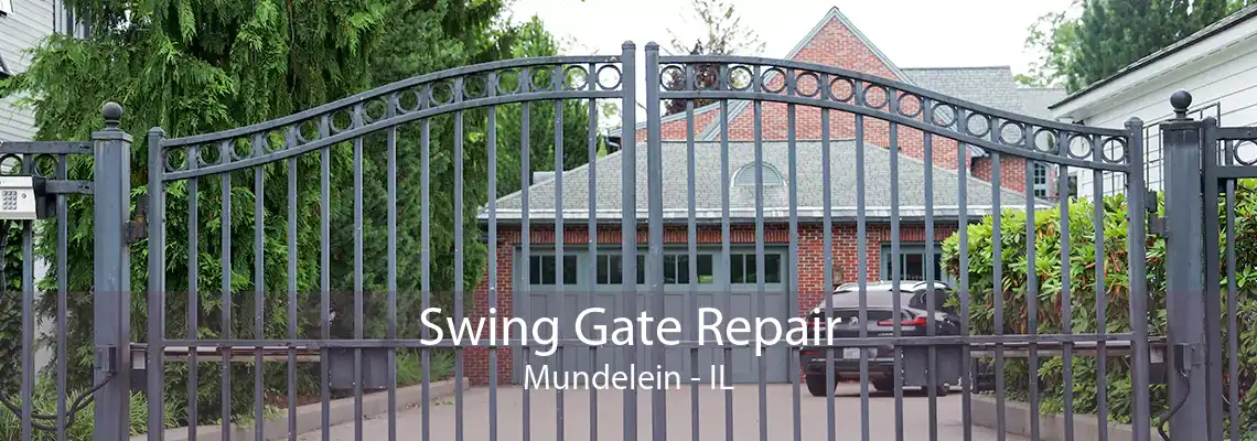 Swing Gate Repair Mundelein - IL